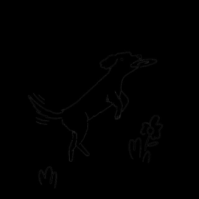 decorative dog frisbee